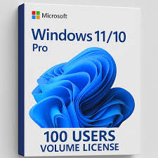 Windows 10/11 Pro 100 Users MAK Volume License lifetime validity