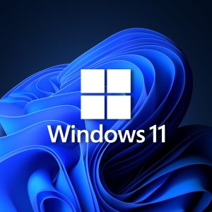 Windows 11 Professional 32/64 Bit Activation Key-Retail license